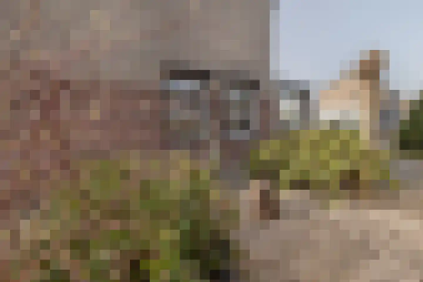 Deken Fabiusstraat 11 Nieuwstadt thumbnail 44