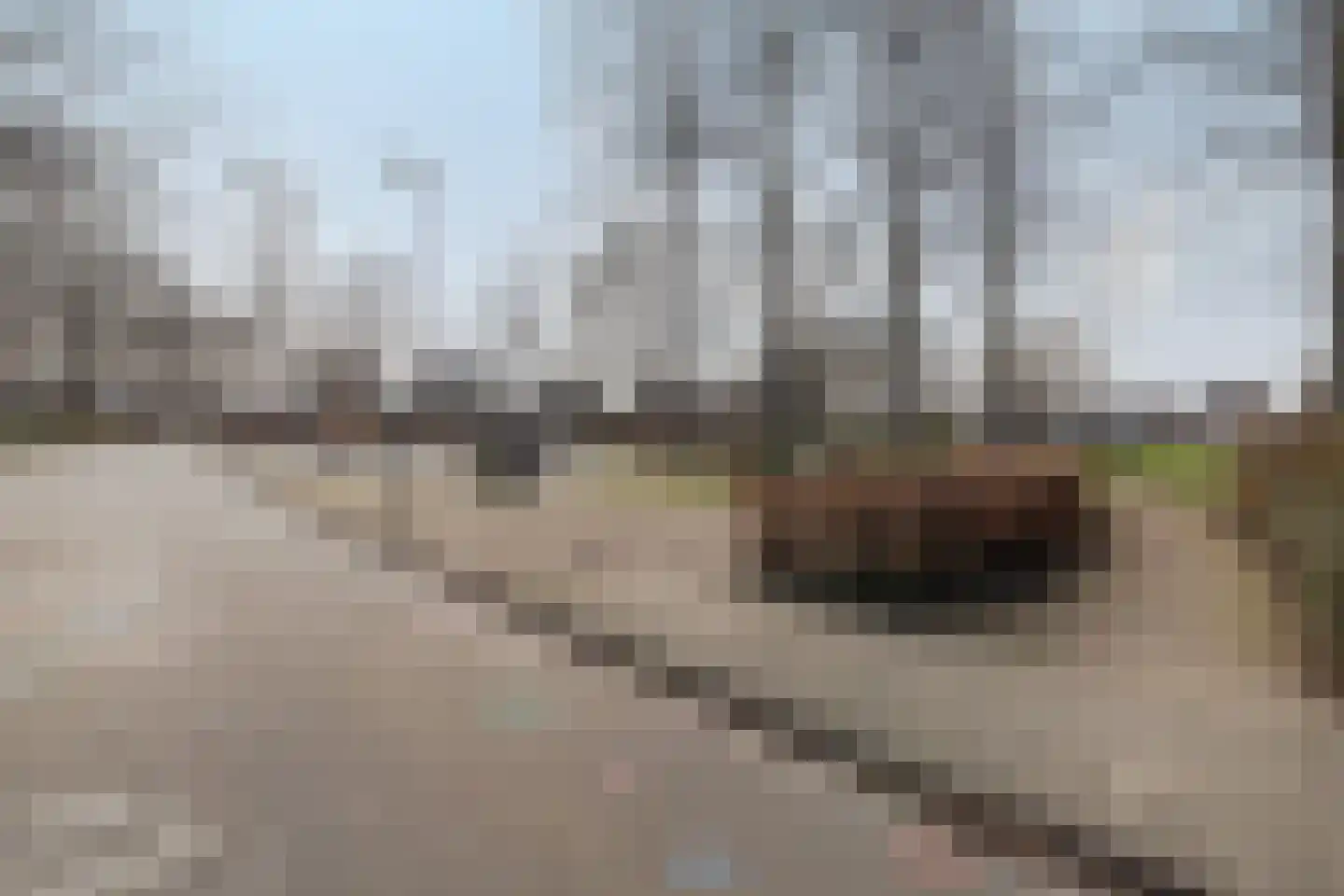 Deken Fabiusstraat 11 Nieuwstadt thumbnail 48
