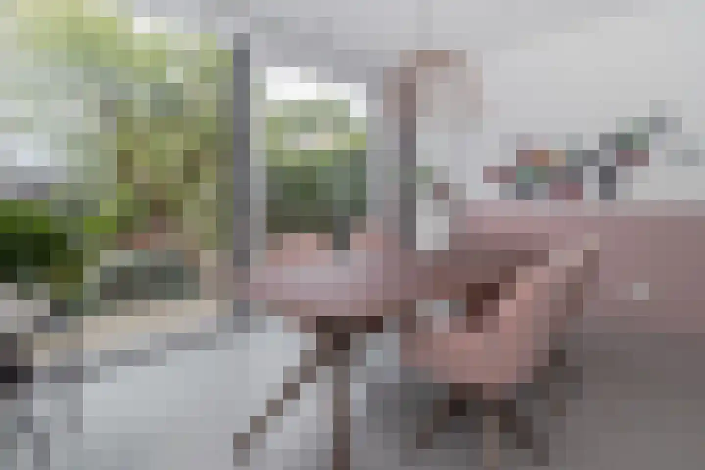Deken Fabiusstraat 5 Nieuwstadt thumbnail 17