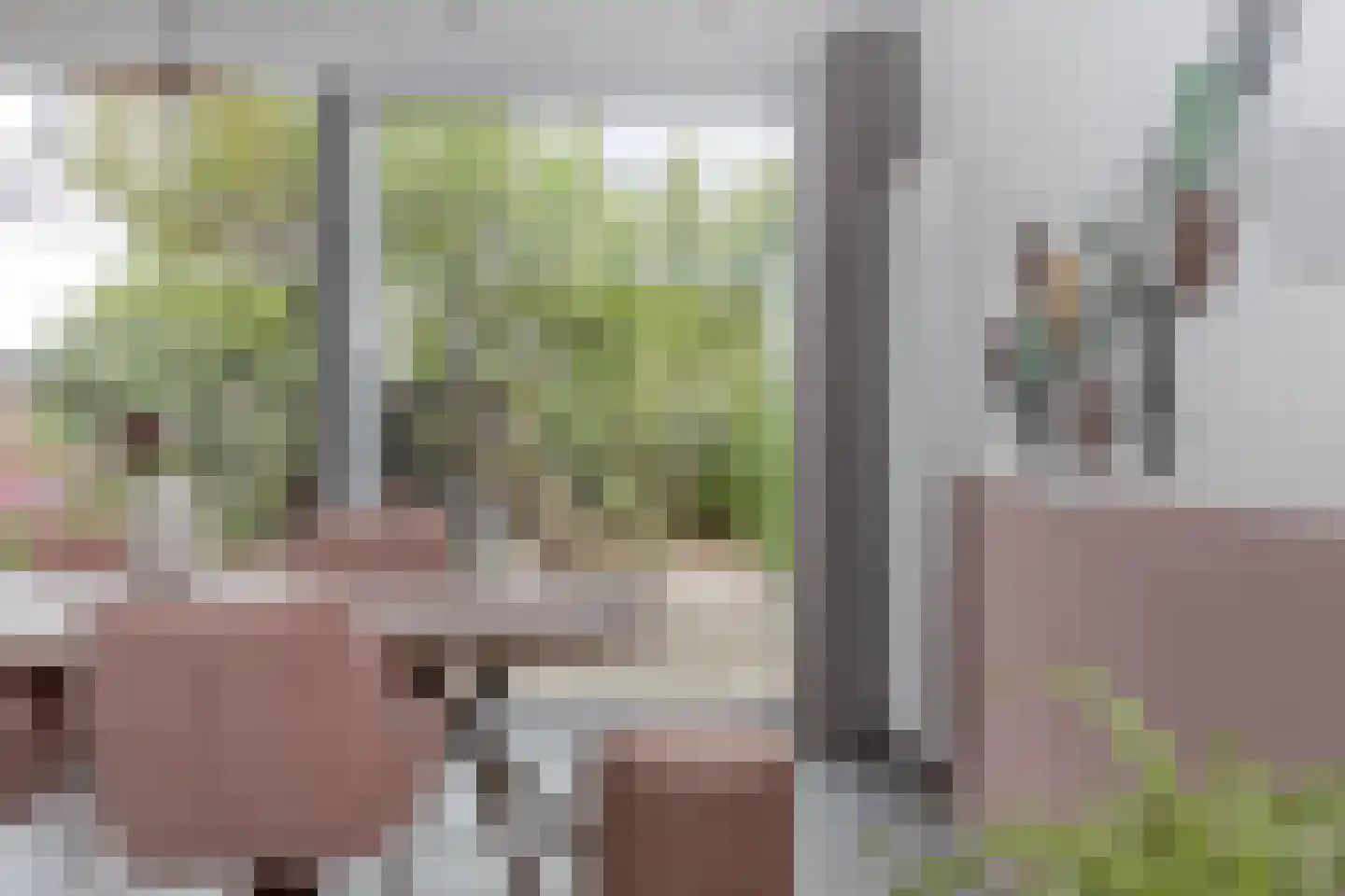 Deken Fabiusstraat 5 Nieuwstadt thumbnail 19