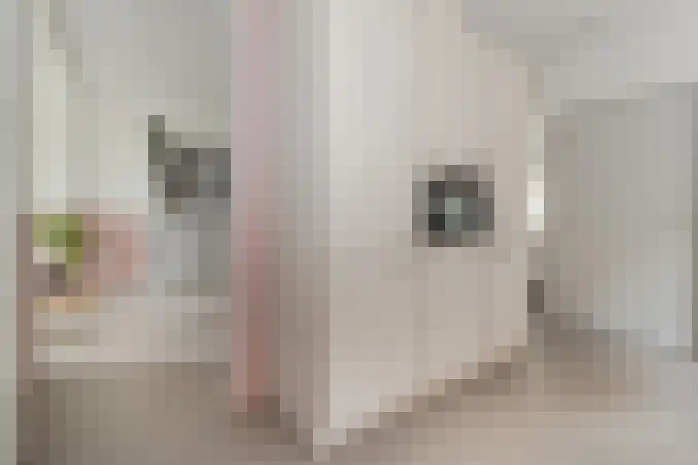 Deken Fabiusstraat 5 Nieuwstadt thumbnail 23