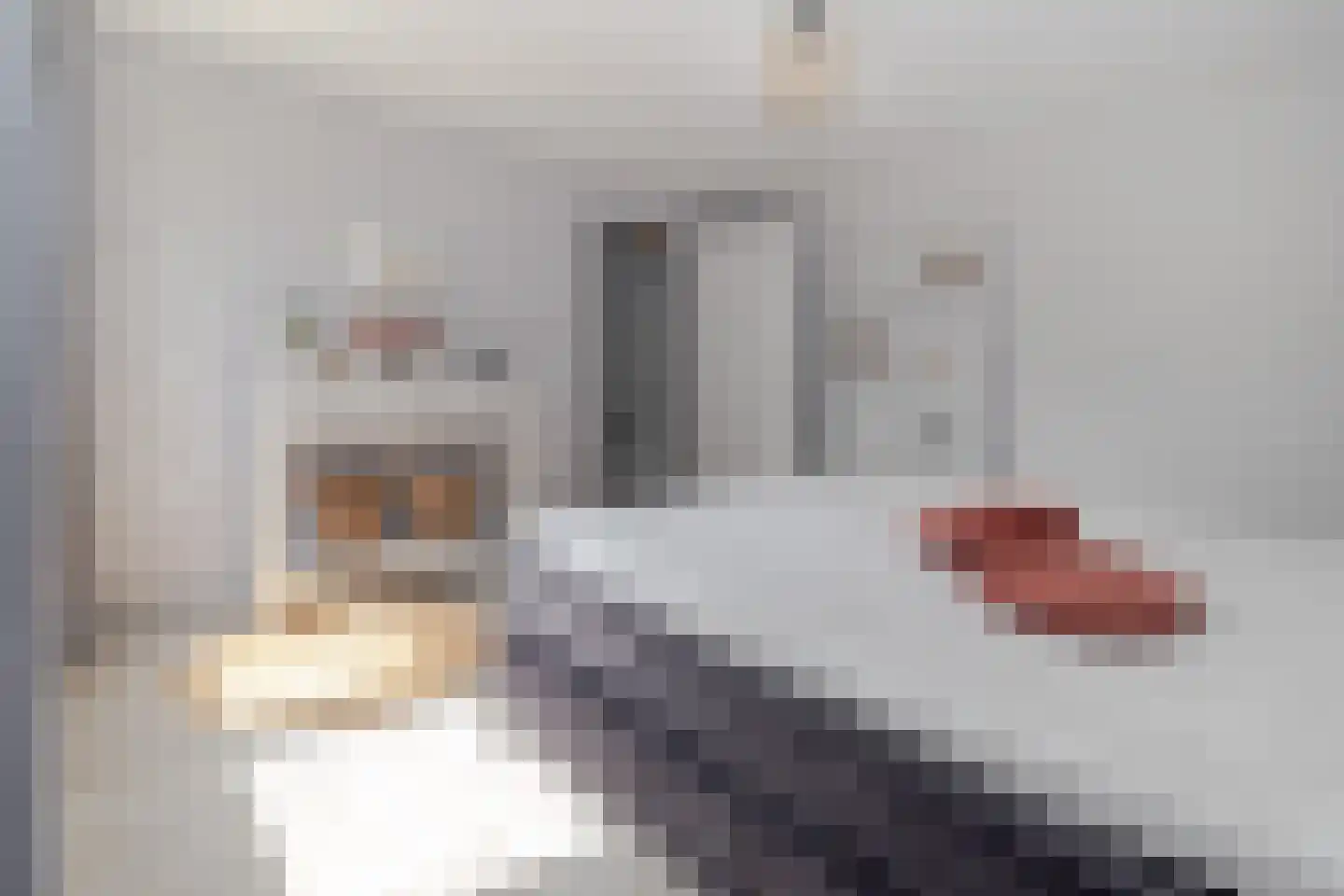 Deken Fabiusstraat 5 Nieuwstadt thumbnail 28