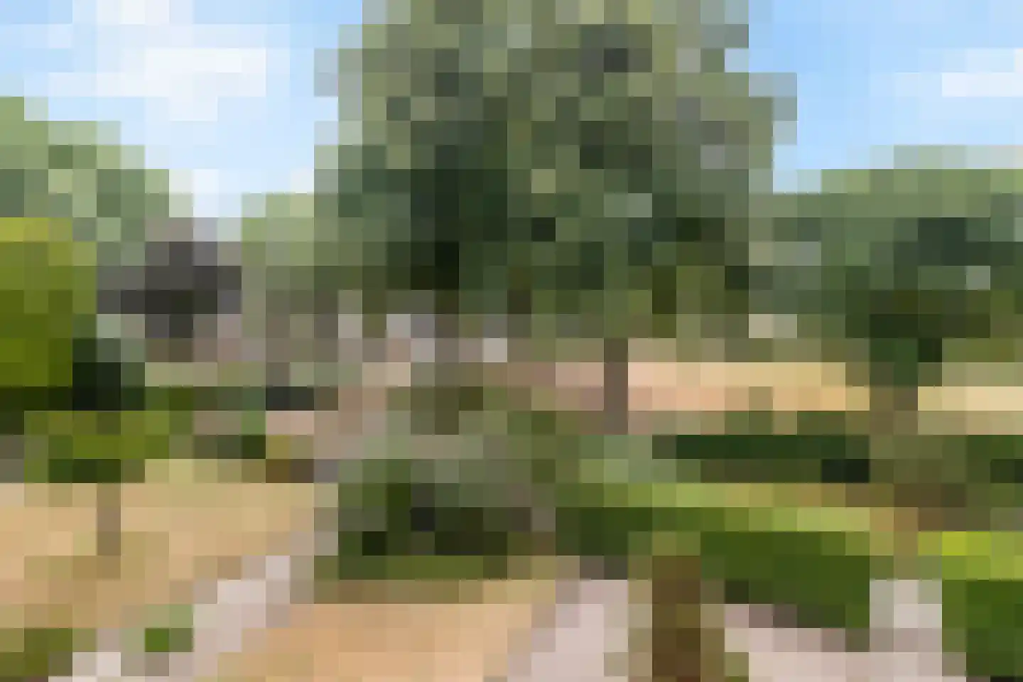 Deken Fabiusstraat 5 Nieuwstadt thumbnail 29