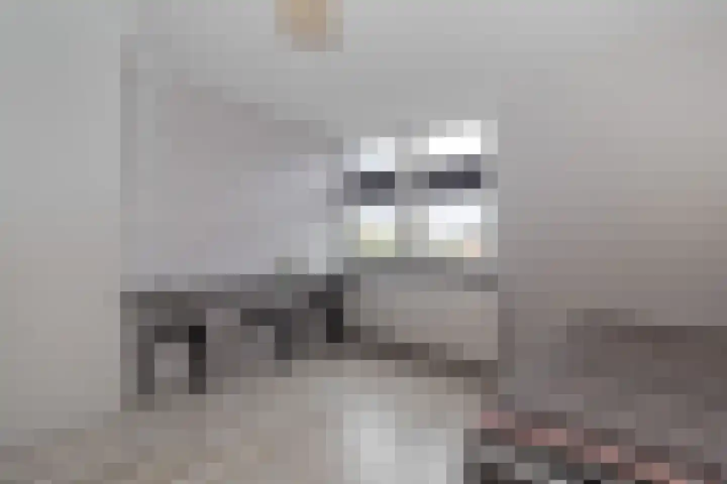 Deken Fabiusstraat 5 Nieuwstadt thumbnail 32
