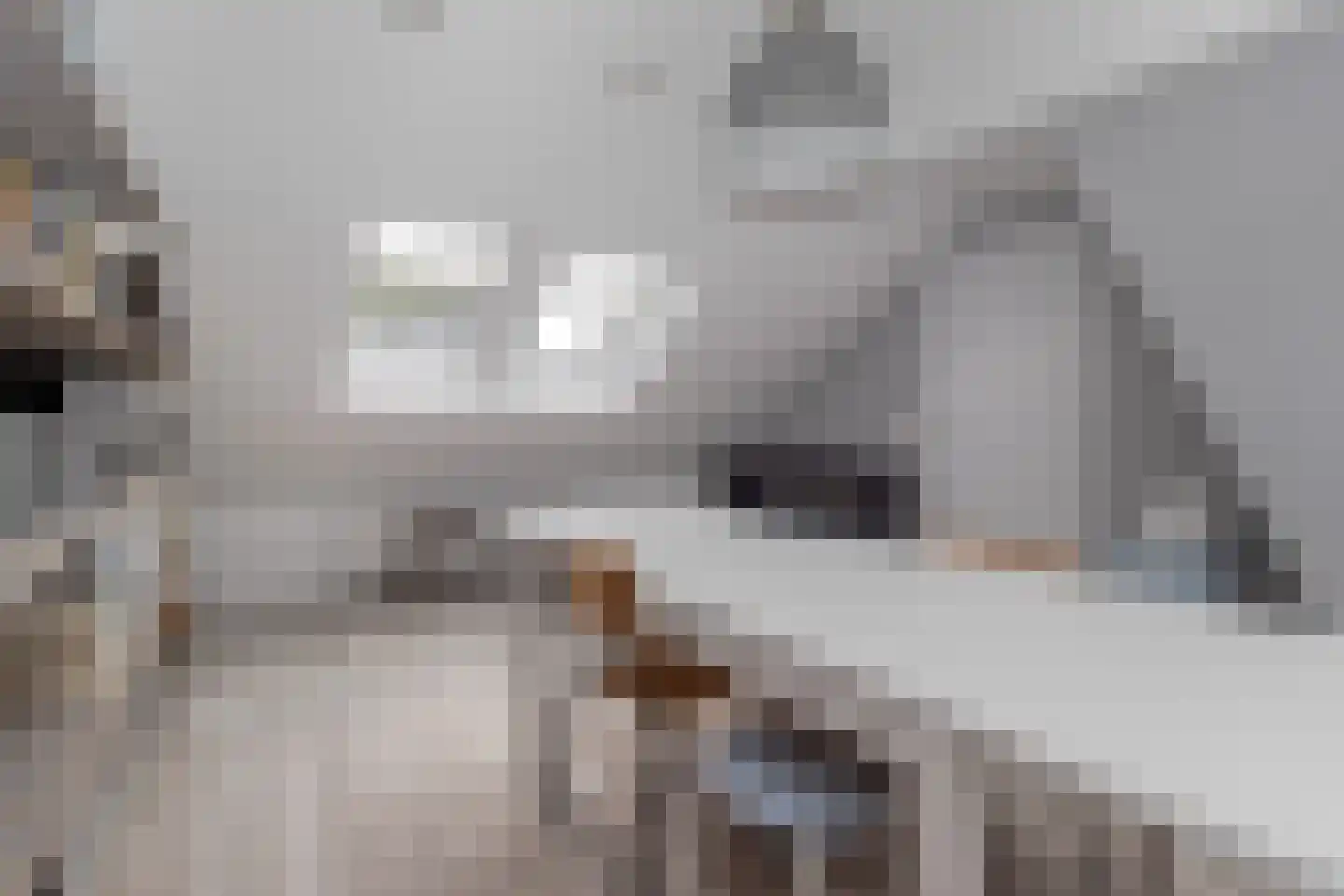 Deken Fabiusstraat 5 Nieuwstadt thumbnail 38