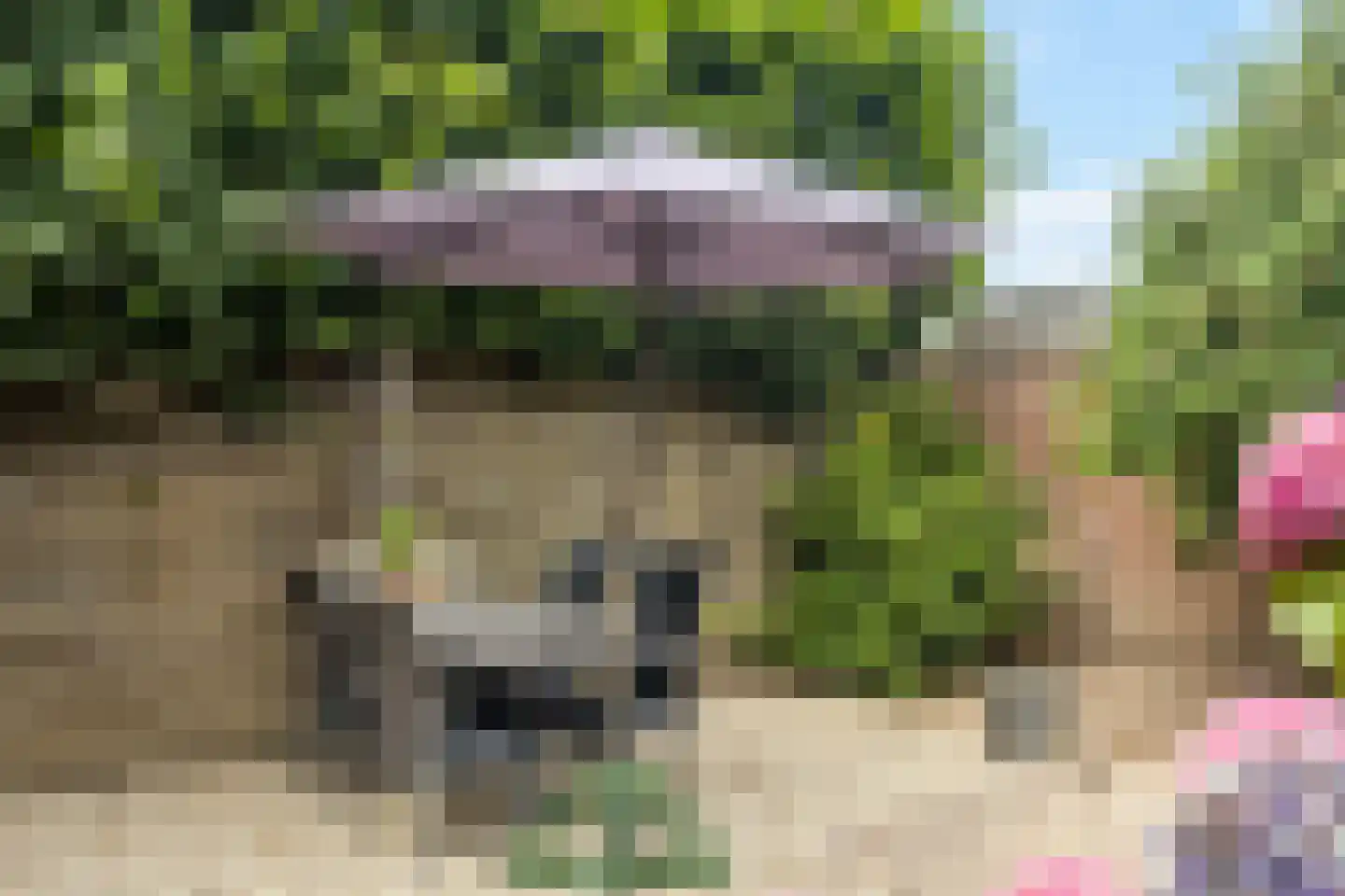 Deken Fabiusstraat 5 Nieuwstadt thumbnail 41