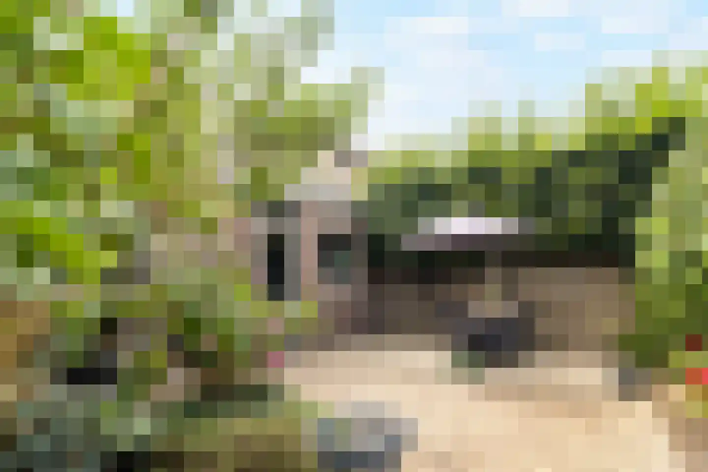 Deken Fabiusstraat 5 Nieuwstadt thumbnail 43