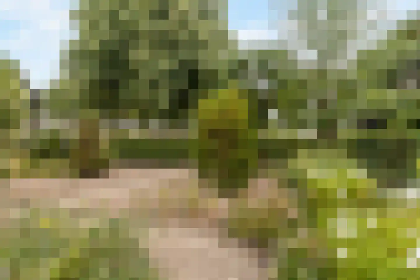 Deken Fabiusstraat 5 Nieuwstadt thumbnail 49