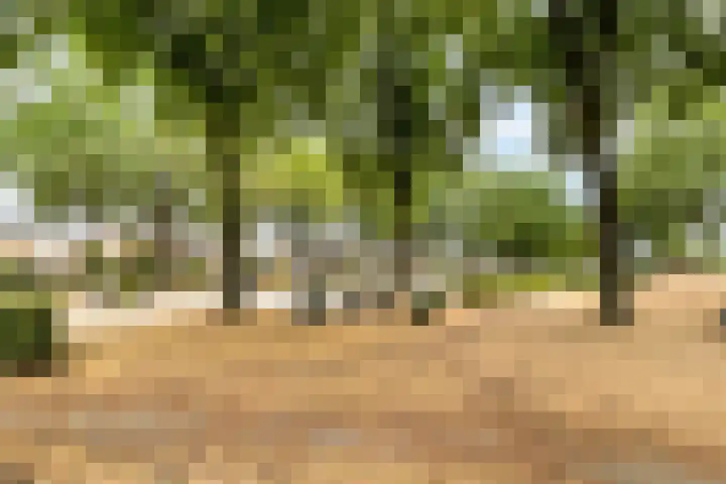 Deken Fabiusstraat 5 Nieuwstadt thumbnail 50