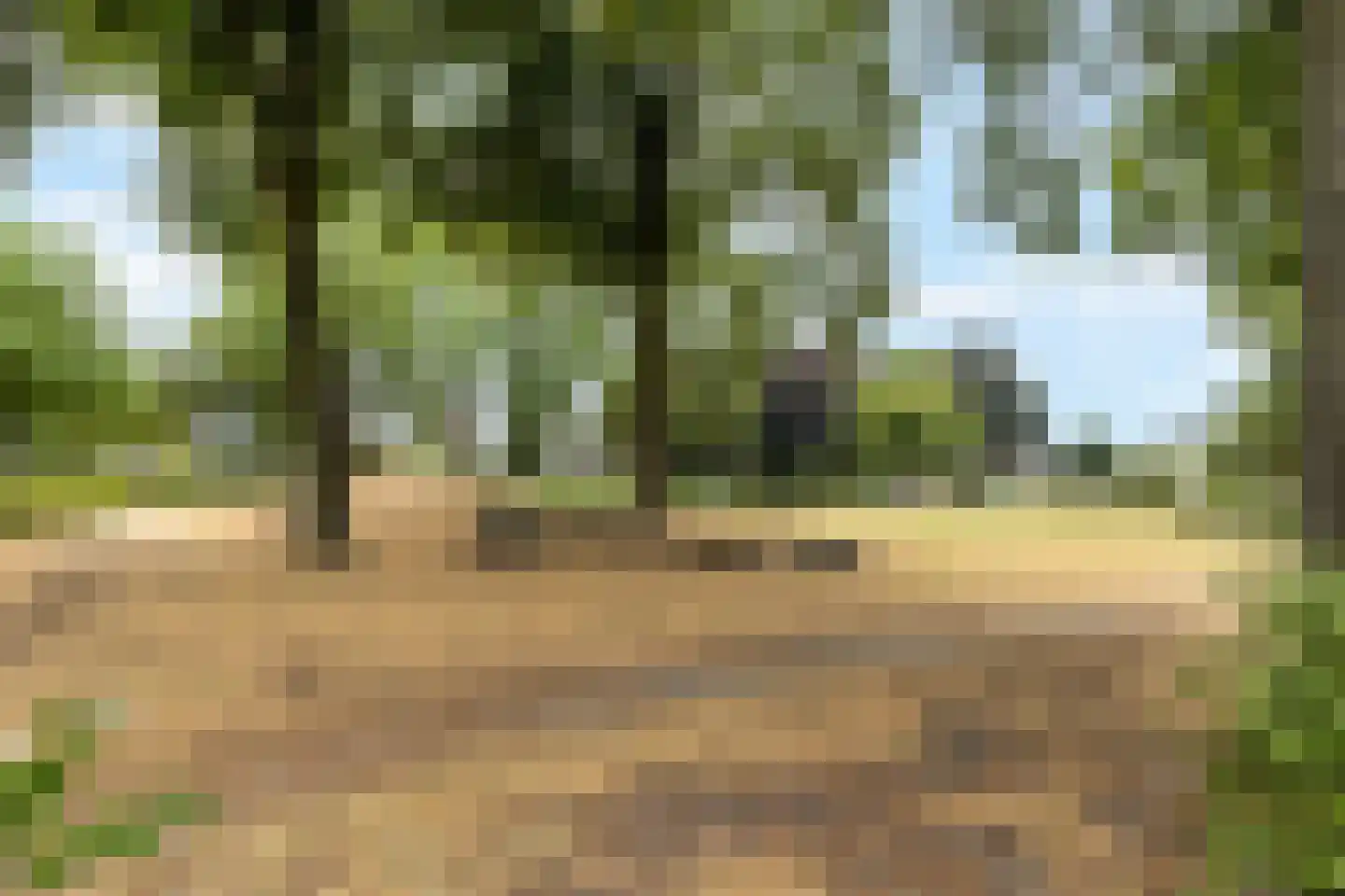 Deken Fabiusstraat 5 Nieuwstadt thumbnail 51