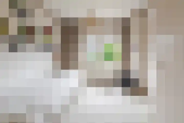 Deken Fickstraat 10 Ulvenhout thumbnail 13