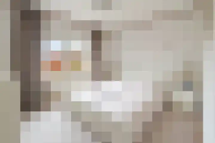 Deken Fickstraat 10 Ulvenhout thumbnail 15