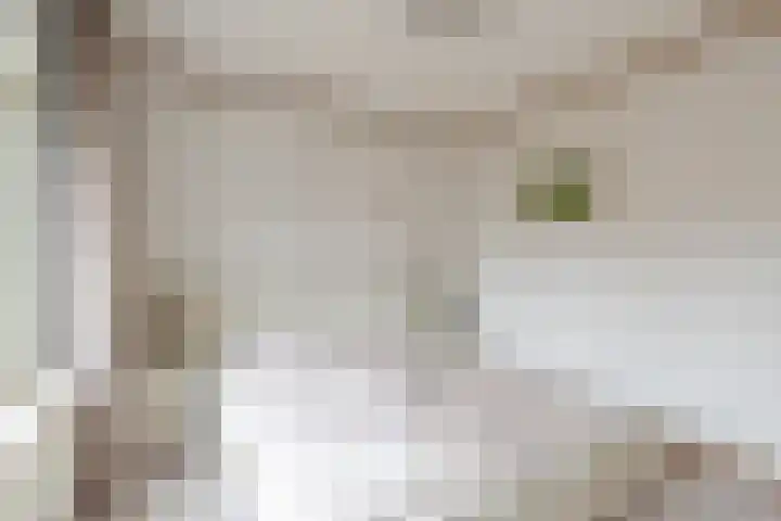 Deken Fickstraat 10 Ulvenhout thumbnail 16