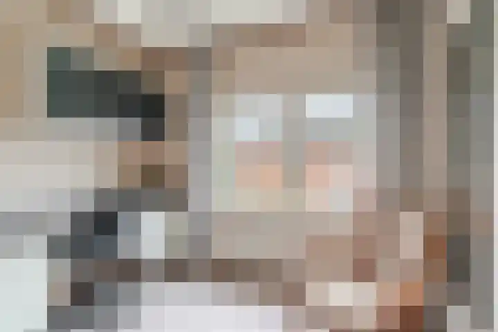 Deken Fickstraat 10 Ulvenhout thumbnail 17