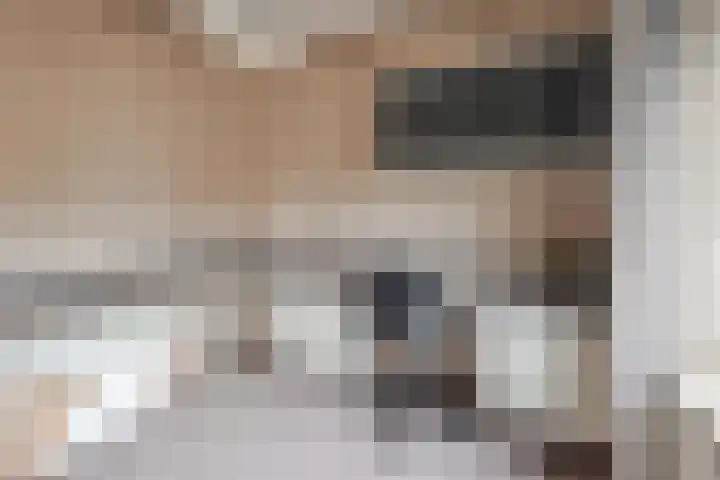 Deken Fickstraat 10 Ulvenhout thumbnail 18
