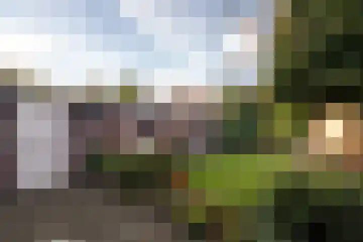 Deken Fickstraat 10 Ulvenhout thumbnail 20
