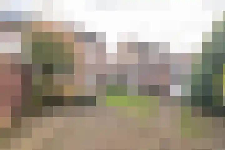 Deken Fickstraat 10 Ulvenhout thumbnail 21