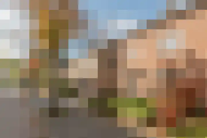 Deken Fickstraat 10 Ulvenhout thumbnail 22