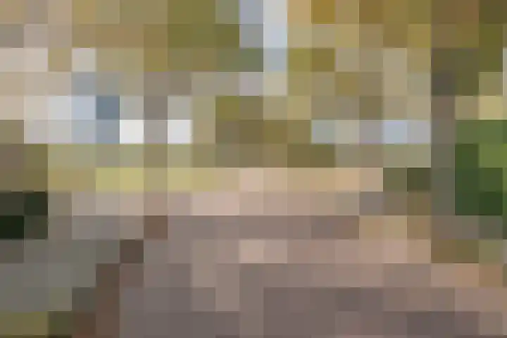 Deken Fickstraat 10 Ulvenhout thumbnail 23