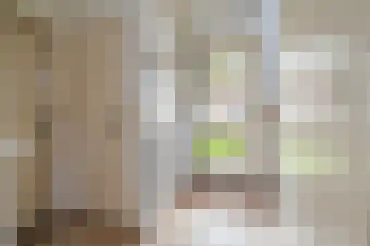 Deken Fickstraat 10 Ulvenhout thumbnail 4