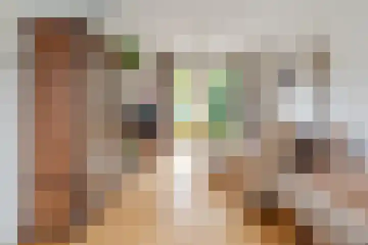 Deken Fickstraat 10 Ulvenhout thumbnail 6