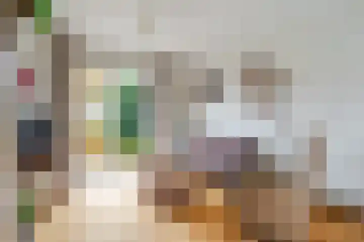 Deken Fickstraat 10 Ulvenhout thumbnail 7