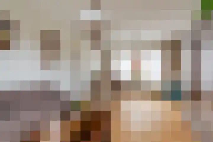 Deken Fickstraat 10 Ulvenhout thumbnail 8