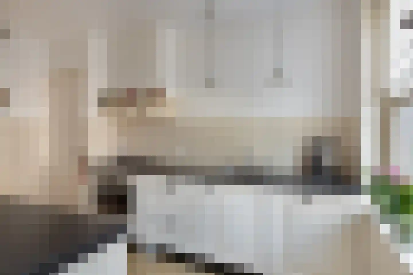 Deken Frankenstraat 17 Valkenswaard thumbnail 10