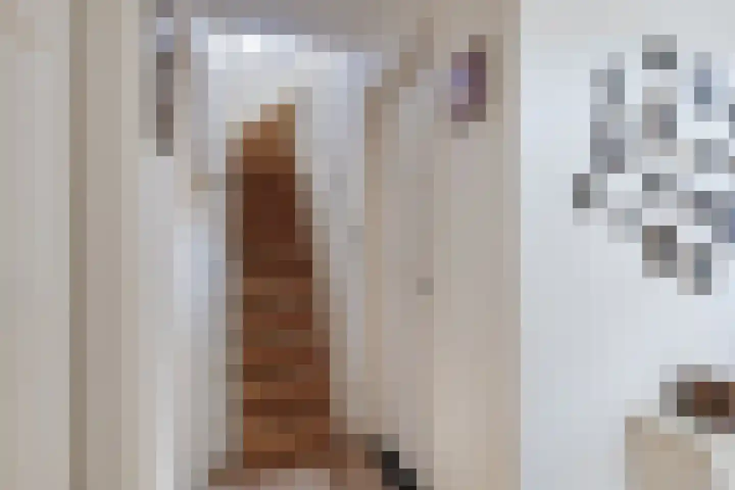Deken Frankenstraat 17 Valkenswaard thumbnail 15