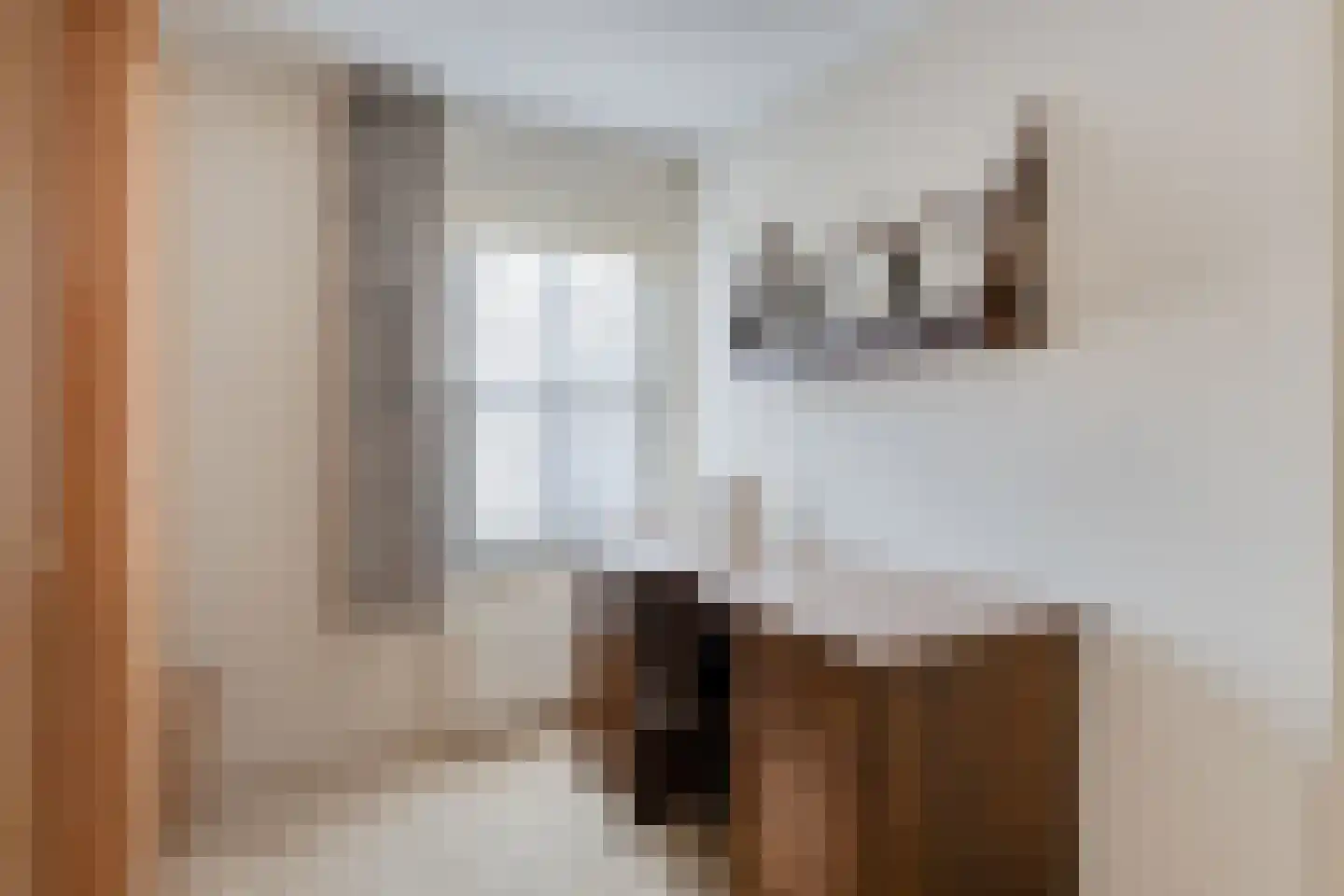 Deken Frankenstraat 17 Valkenswaard thumbnail 24