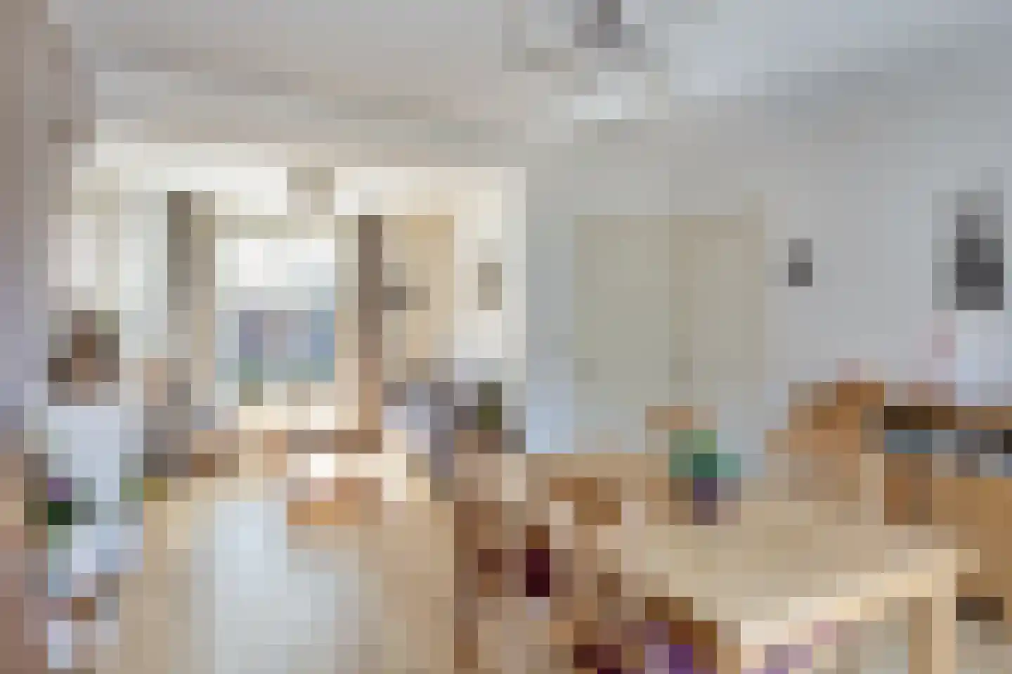 Deken Frankenstraat 17 Valkenswaard thumbnail 4