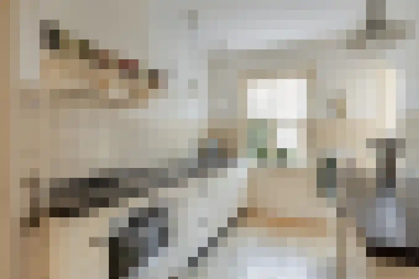 Deken Frankenstraat 17 Valkenswaard thumbnail 9