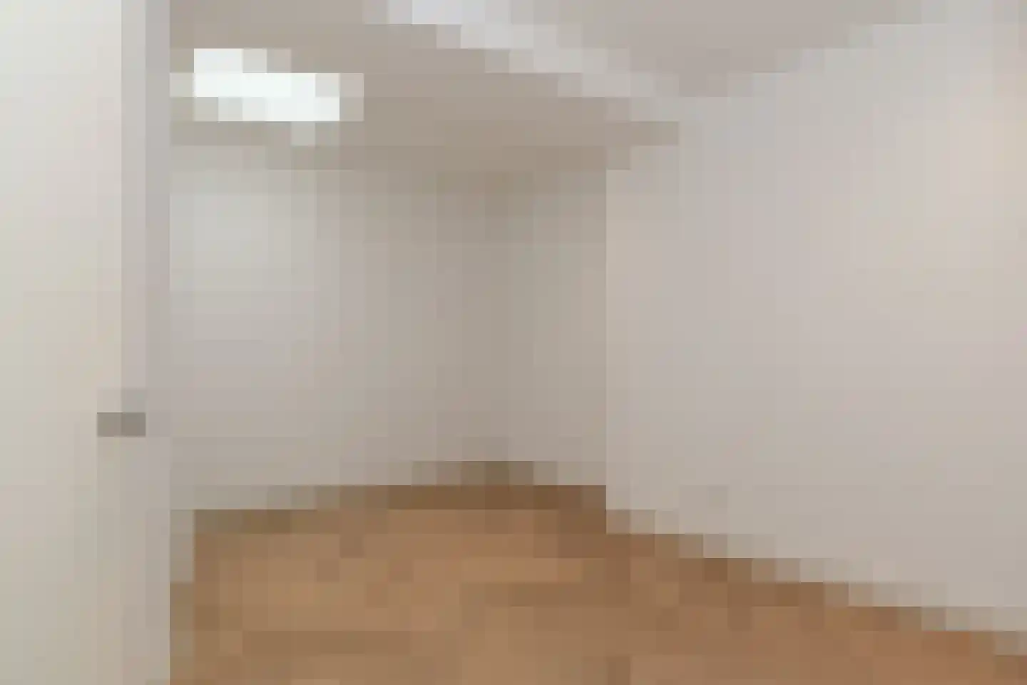 Deken Frankenstraat 19 Valkenswaard thumbnail 23