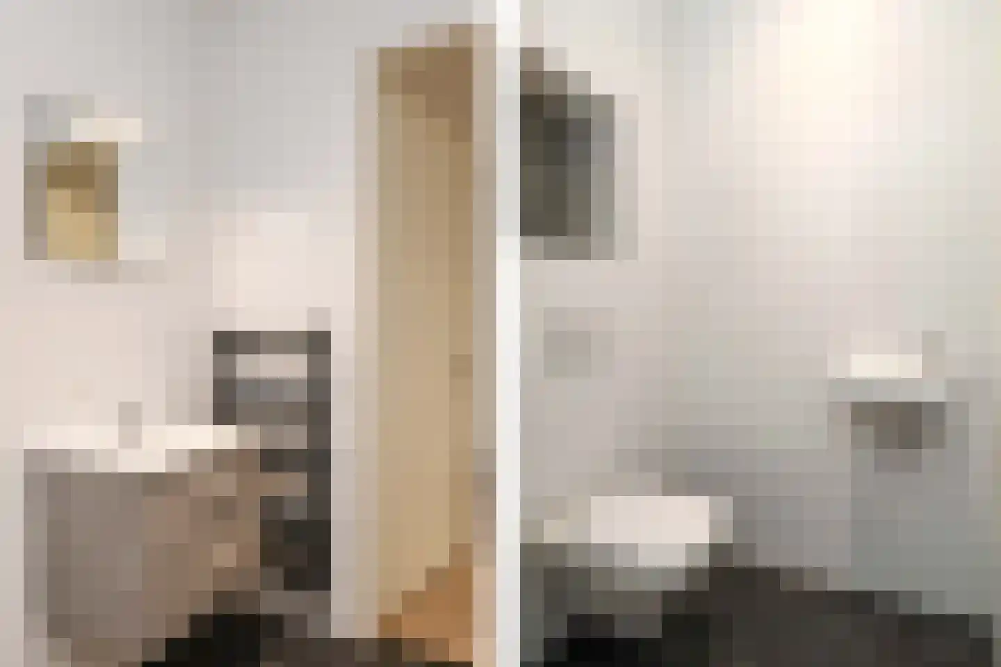 Deken Frankenstraat 19 Valkenswaard thumbnail 25