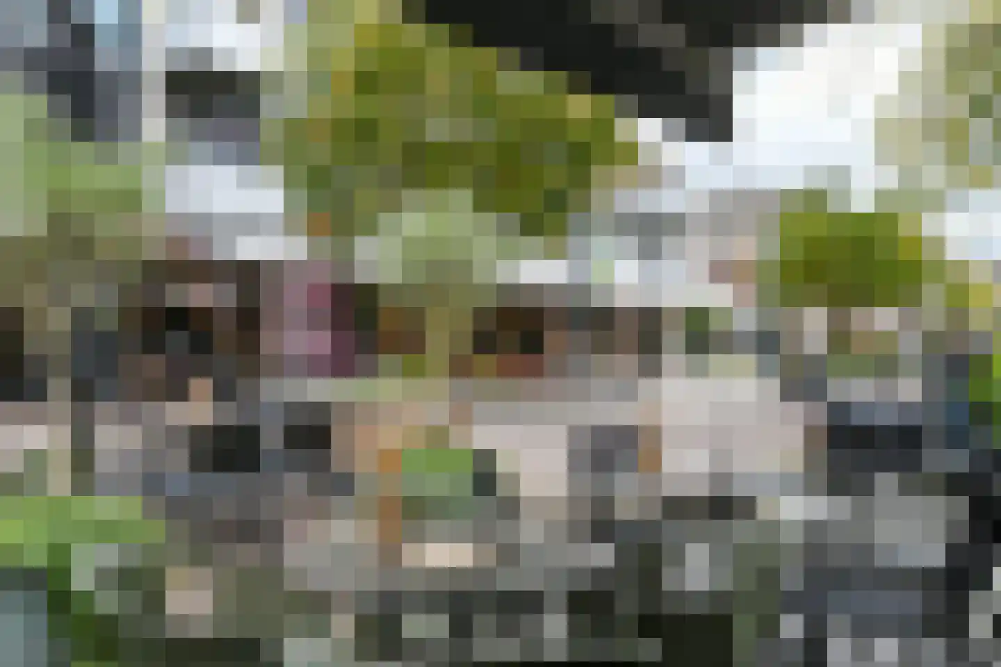 Deken Frankenstraat 19 Valkenswaard thumbnail 31