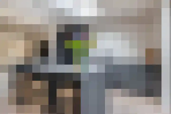 Deken Franssenstraat 5 Veghel thumbnail 11