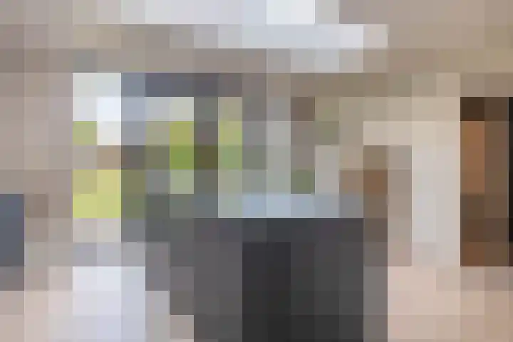 Deken Franssenstraat 5 Veghel thumbnail 13
