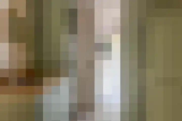 Deken Franssenstraat 5 Veghel thumbnail 14