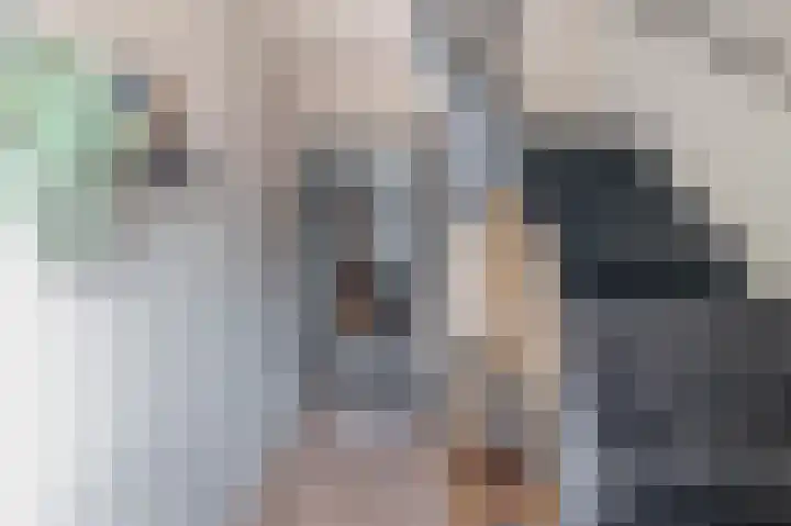 Deken Franssenstraat 5 Veghel thumbnail 18