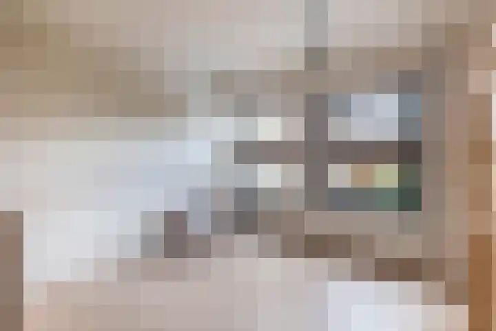 Deken Franssenstraat 5 Veghel thumbnail 22
