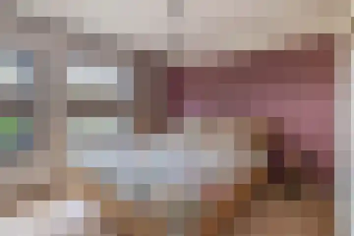 Deken Franssenstraat 5 Veghel thumbnail 23