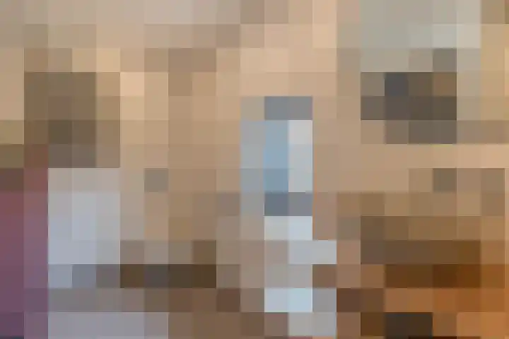 Deken Franssenstraat 5 Veghel thumbnail 26