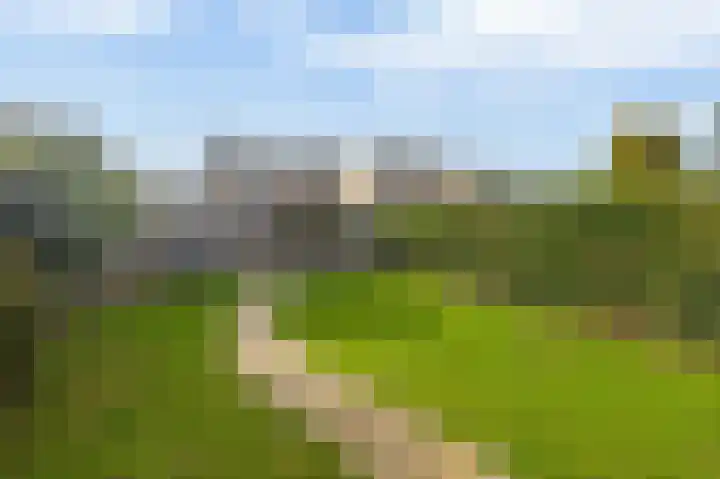 Deken Franssenstraat 5 Veghel thumbnail 28
