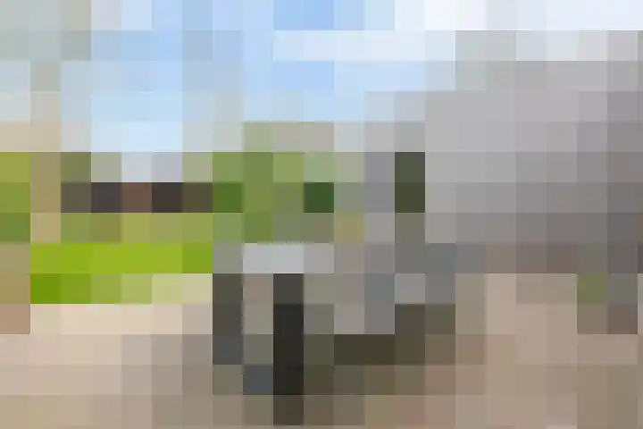 Deken Franssenstraat 5 Veghel thumbnail 30