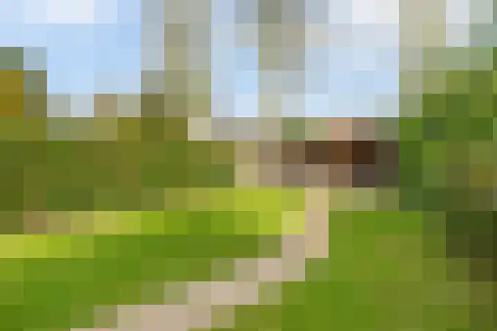 Deken Franssenstraat 5 Veghel thumbnail 31