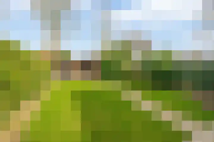 Deken Franssenstraat 5 Veghel thumbnail 32