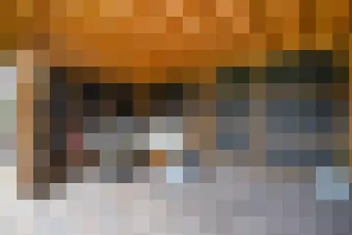 Deken Franssenstraat 5 Veghel thumbnail 33