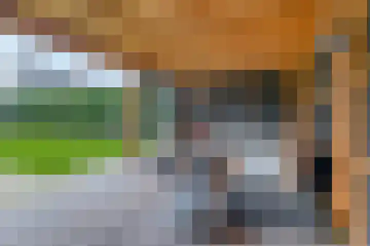 Deken Franssenstraat 5 Veghel thumbnail 34
