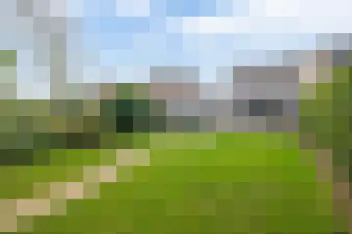 Deken Franssenstraat 5 Veghel thumbnail 35
