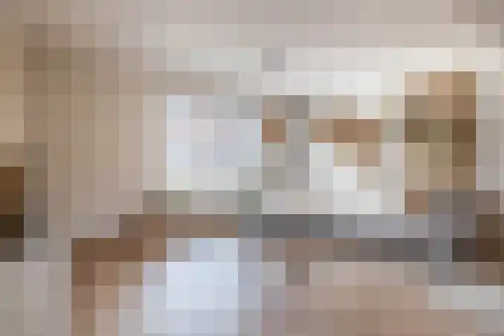 Deken Franssenstraat 5 Veghel thumbnail 4